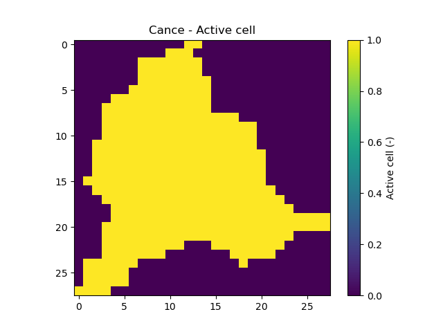 ../../_images/user_guide.quickstart.cance_first_simulation.active_cell.png